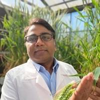 Rajeev Varshney Rajeev Varshney