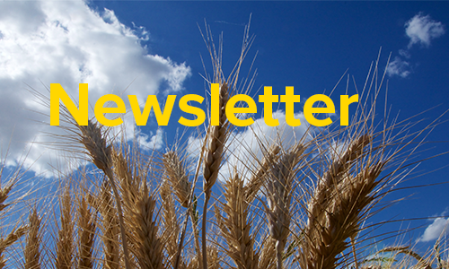 IWGSC Newsletter – September to December 2020